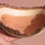 Completed rough turned bowl